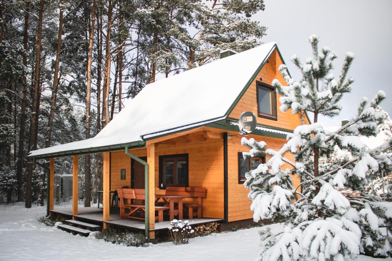 Lesna 21 Dom Poludnie Przy Puszcza Bialowieska Luka Ngoại thất bức ảnh
