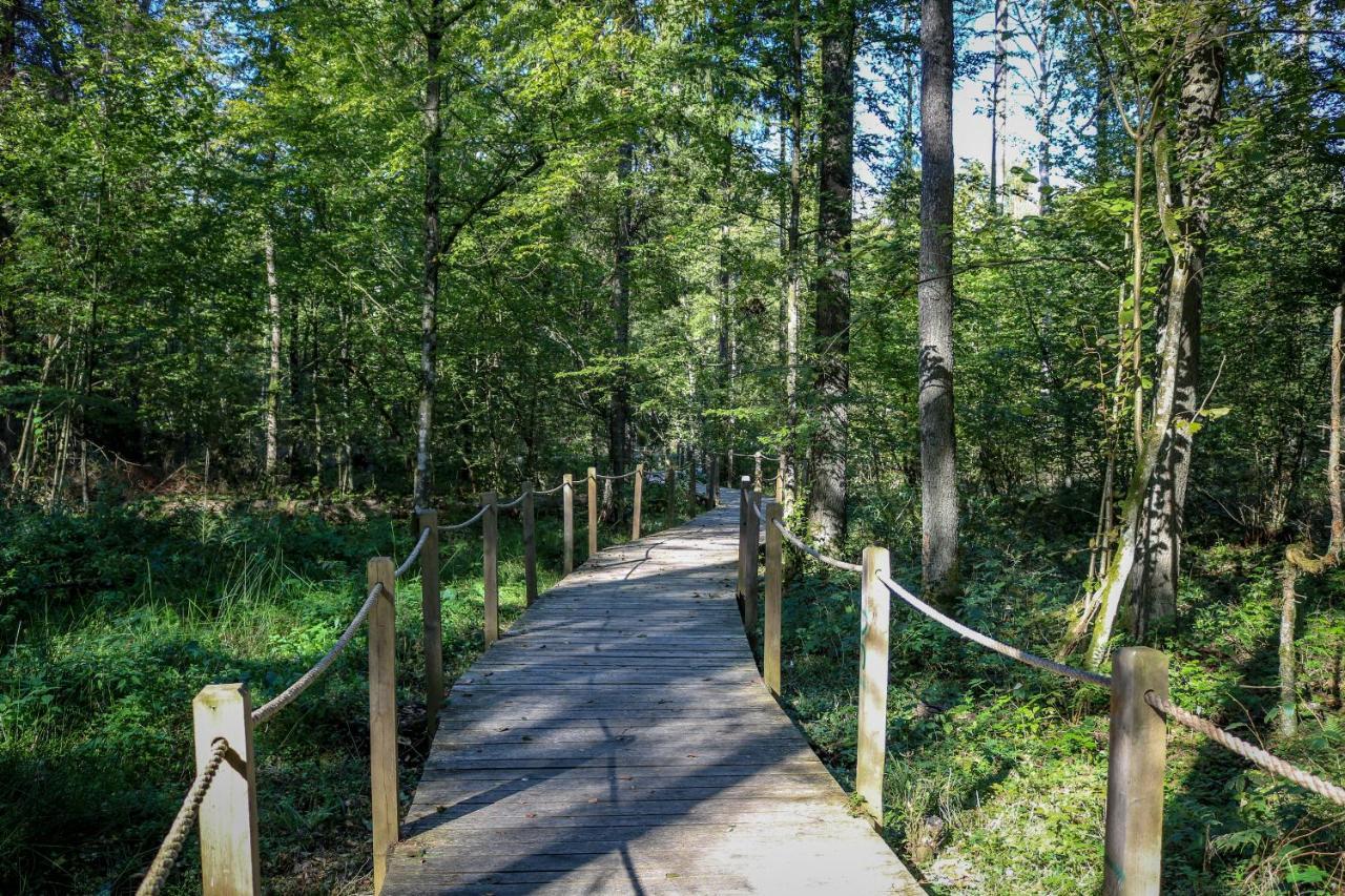 Lesna 21 Dom Poludnie Przy Puszcza Bialowieska Luka Ngoại thất bức ảnh