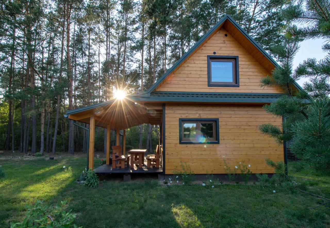 Lesna 21 Dom Poludnie Przy Puszcza Bialowieska Luka Ngoại thất bức ảnh