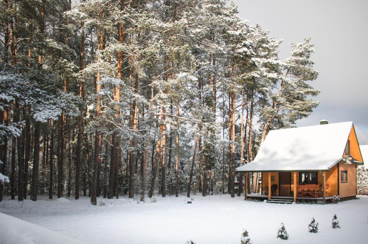 Lesna 21 Dom Poludnie Przy Puszcza Bialowieska Luka Ngoại thất bức ảnh