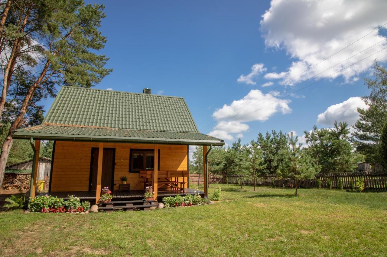 Lesna 21 Dom Poludnie Przy Puszcza Bialowieska Luka Ngoại thất bức ảnh
