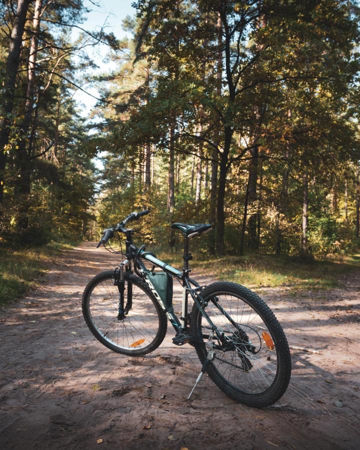Lesna 21 Dom Poludnie Przy Puszcza Bialowieska Luka Ngoại thất bức ảnh