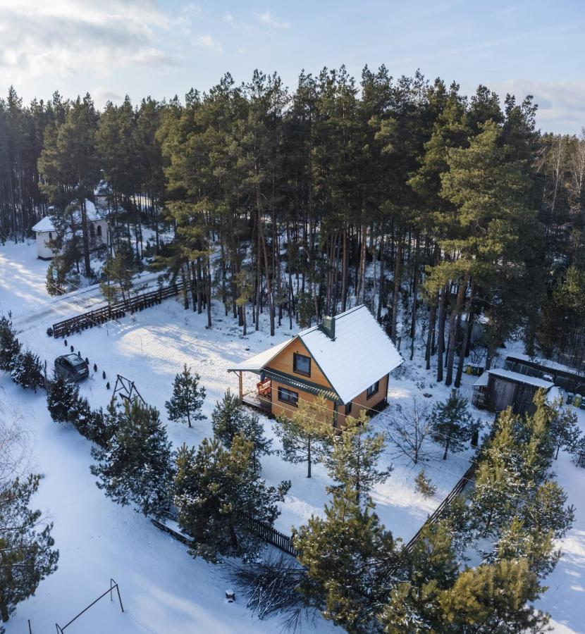 Lesna 21 Dom Poludnie Przy Puszcza Bialowieska Luka Ngoại thất bức ảnh