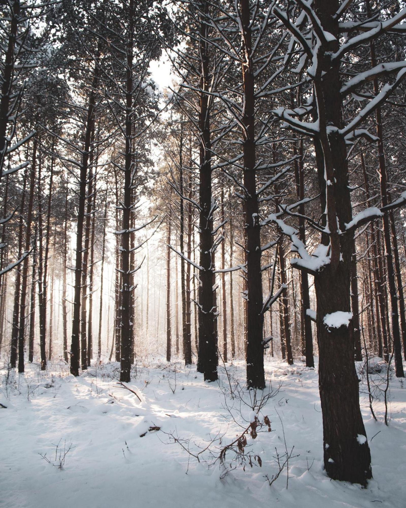 Lesna 21 Dom Poludnie Przy Puszcza Bialowieska Luka Ngoại thất bức ảnh